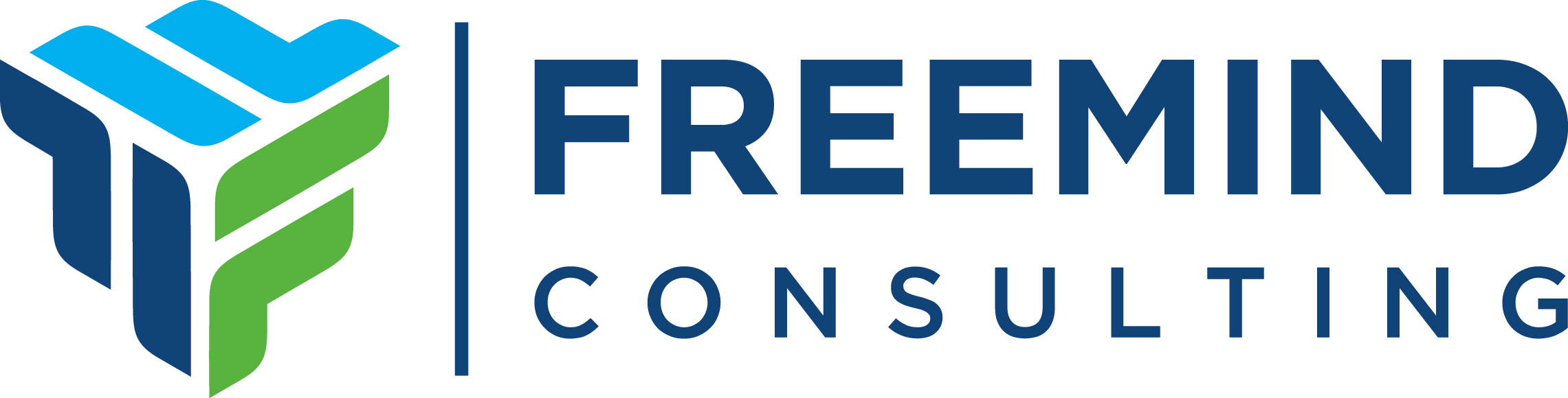 freemind Consulting